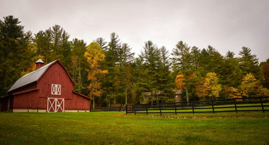 Pasture-rasied vs Free-range